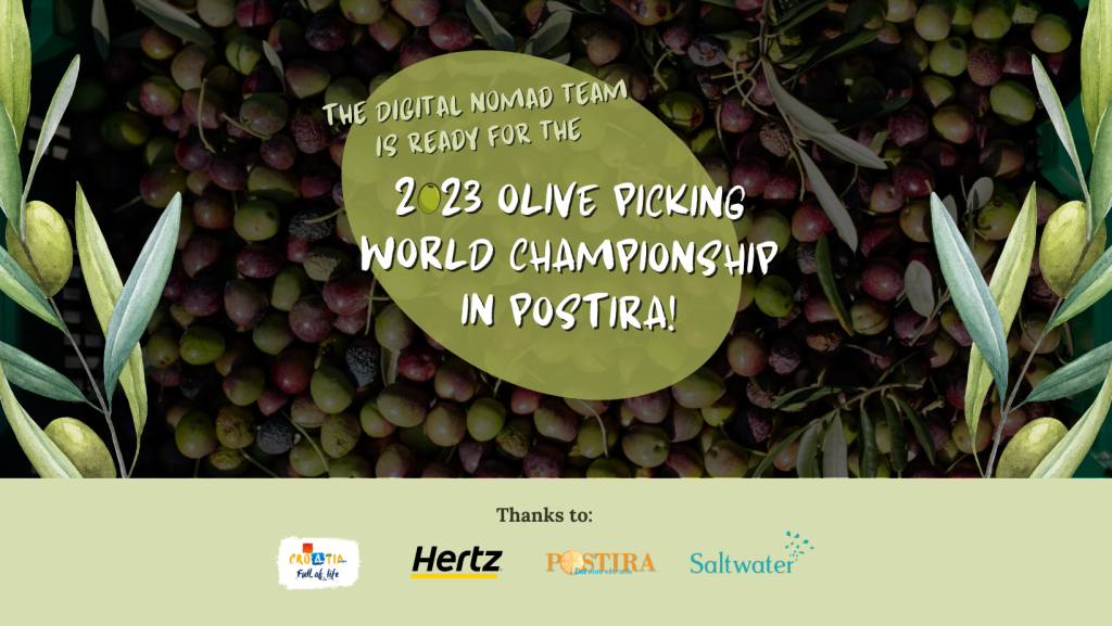olive picking world championship